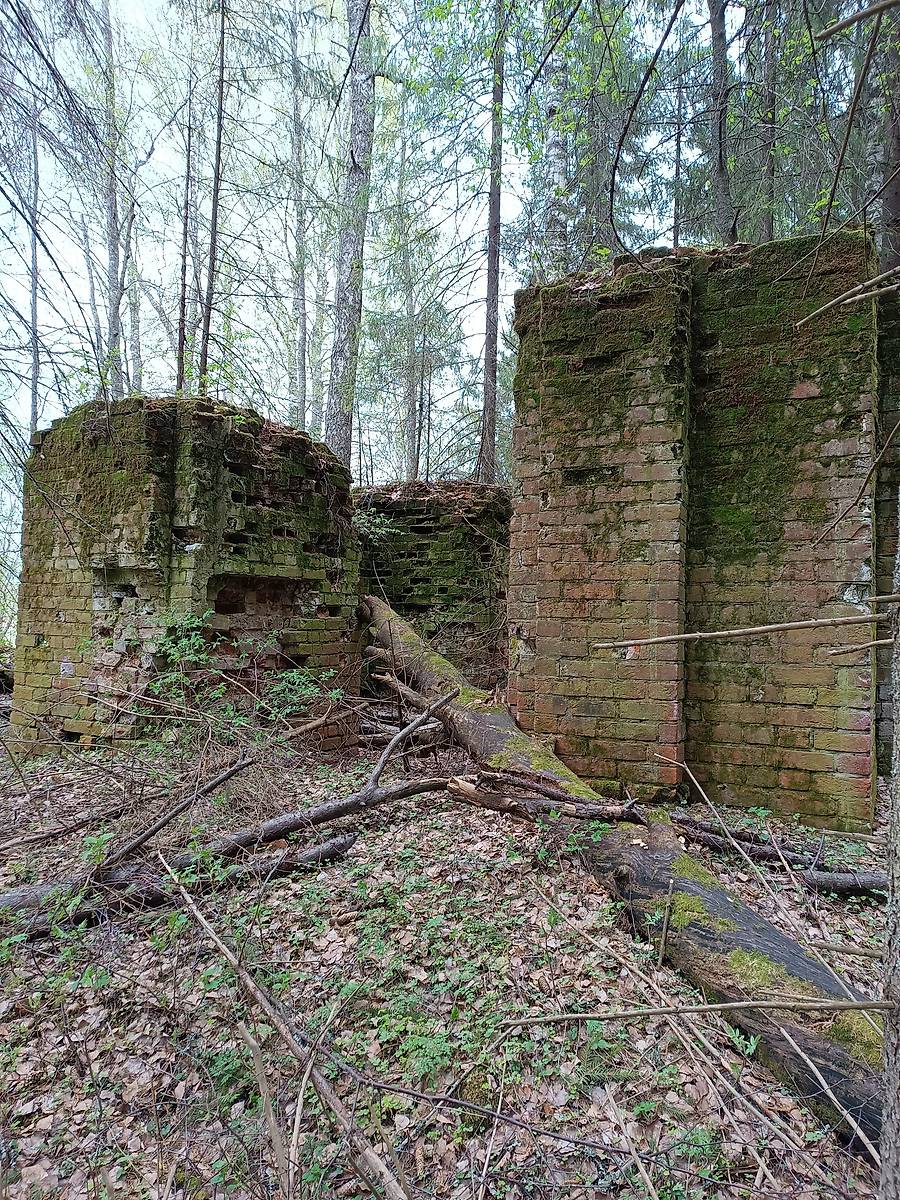 фасады. Церковь Воскресения Христова, Жуково, урочище (Антроповский район, Костромская область)