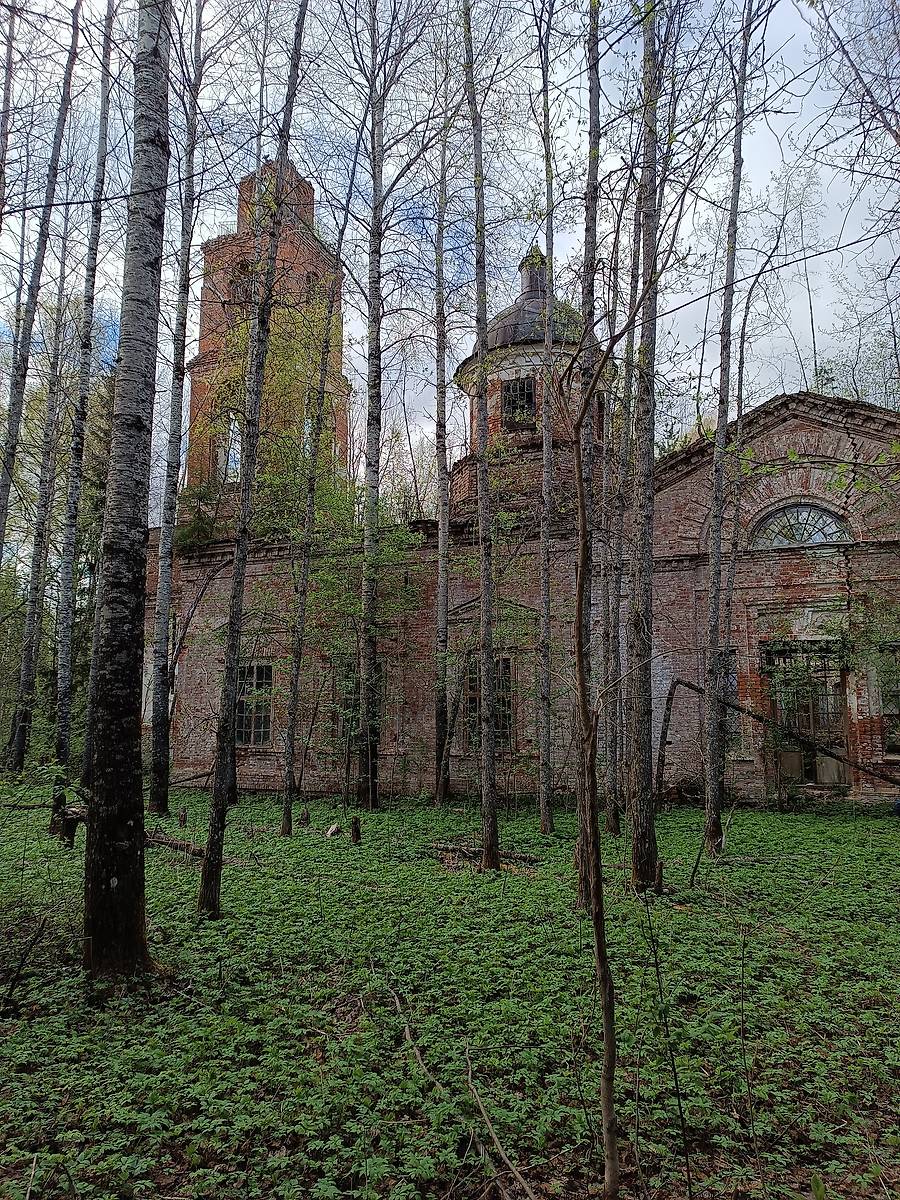 общий вид в ландшафте. Церковь Софии, Премудрости Божией, София-Бушнево, урочище (Антроповский район, Костромская область)