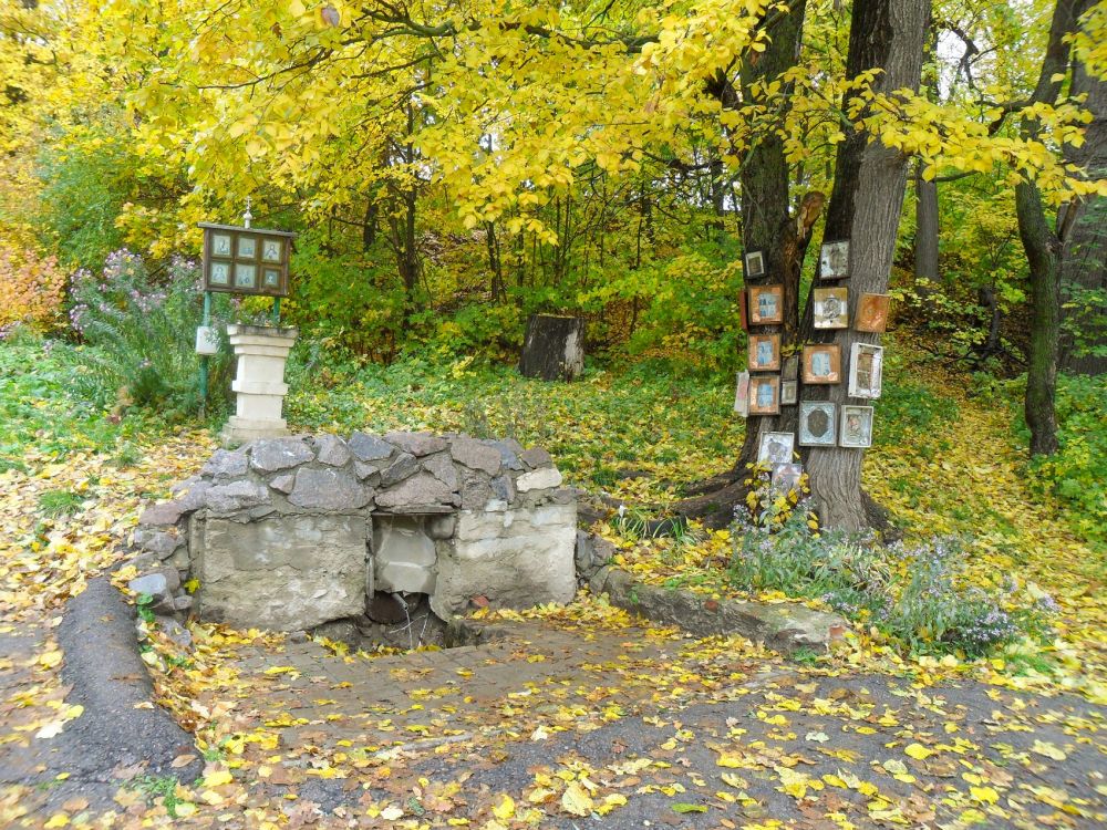 Козловский Троицкий монастырь. Часовня Тихвинской иконы Божией Матери у Капитонова родника, Мичуринск (Мичуринский район и г. Мичуринск, Тамбовская область). дополнительная информация, Капитонов родник