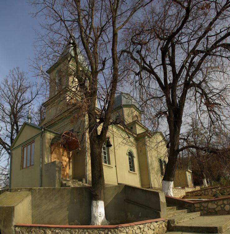 Богородице-Рождественский Димитриевский женский монастырь. Церковь Димитрия Солунского, Варзарешты (Ниспоренский район, Молдова). общий вид в ландшафте