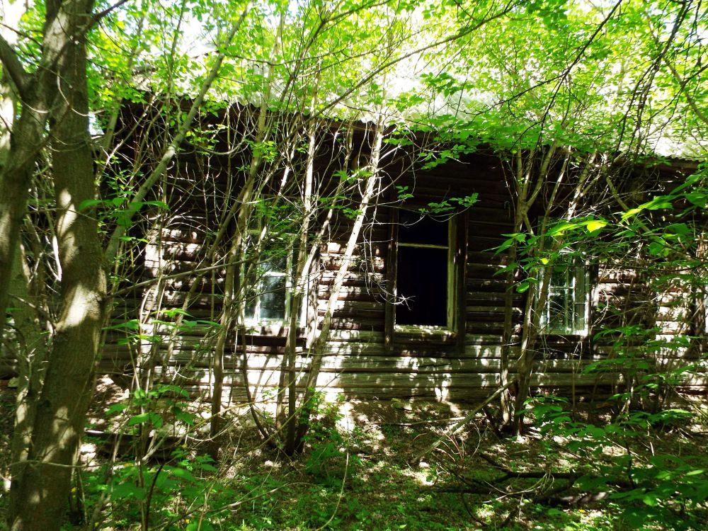 Церковь Троицы Живоначальной, Чаксы (Мамадышский район, Республика Татарстан). архитектурные детали