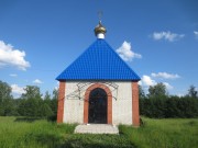 Неизвестная часовня на Дмитриевском кладбище, , Никольск, Никольский район, Пензенская область