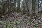 Церковь Успения Пресвятой Богородицы, , Кузлово, Вышневолоцкий район и г. Вышний Волочёк, Тверская область