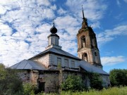 Церковь Спаса Преображения, , Шишкино, Судиславский район, Костромская область