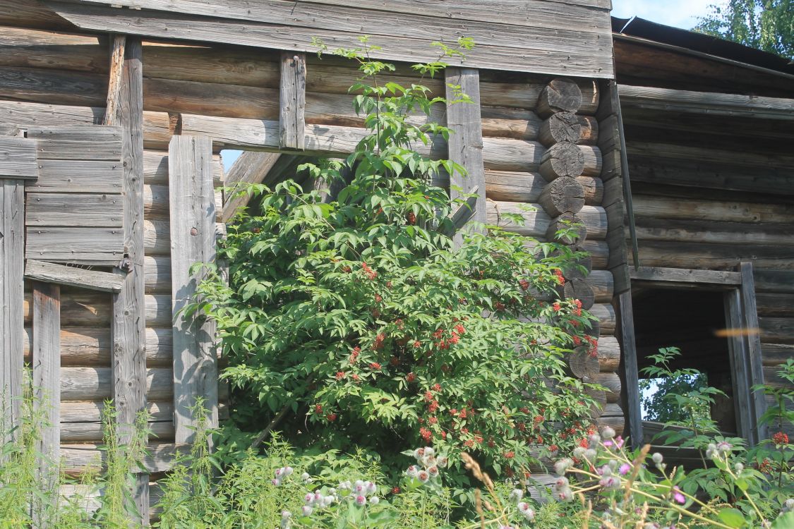 Церковь Петра и Павла, Пальники (Частинский район, Пермский край). архитектурные детали