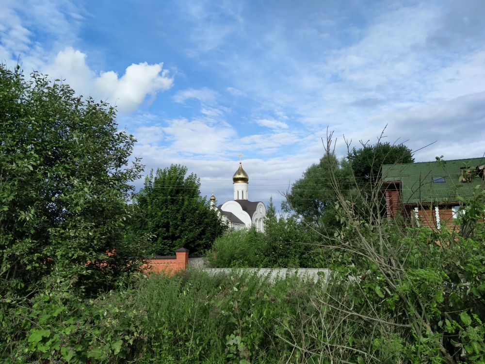 Клыковская Мироносицкая женская община, Клыково (Козельский район, Калужская область). общий вид в ландшафте, общий вид монастыря