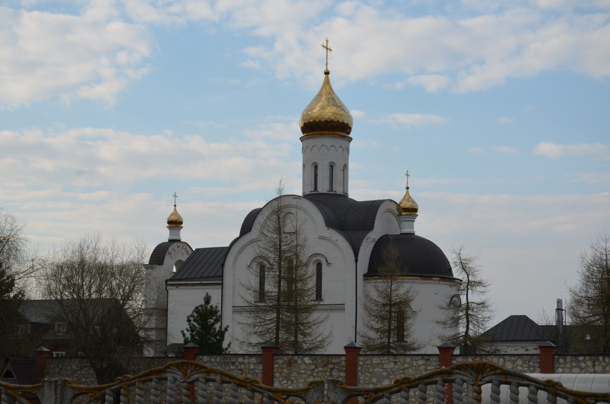 Клыковская Мироносицкая женская община. Церковь Жён-мироносиц, Клыково (Козельский район, Калужская область). архитектурные детали
