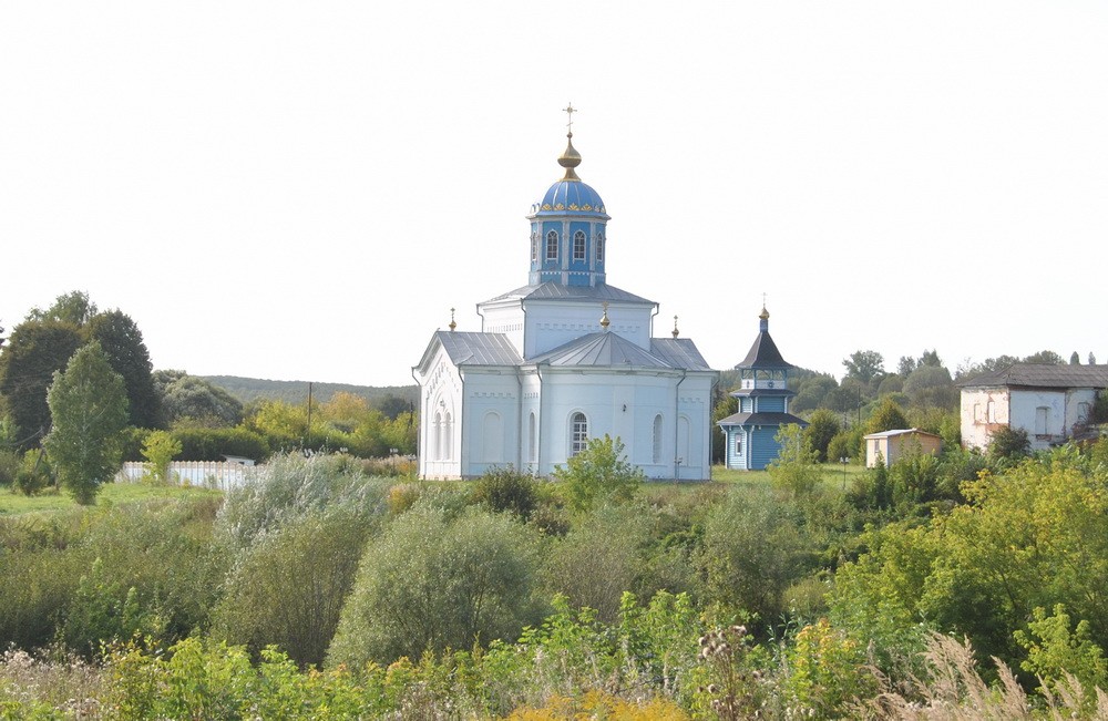 Часовня Параскевы Пятницы, Протасово (Дубенский район, Тульская область). общий вид в ландшафте