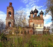 Церковь Введения во храм Пресвятой Богородицы, , Буяково, Сусанинский район, Костромская область