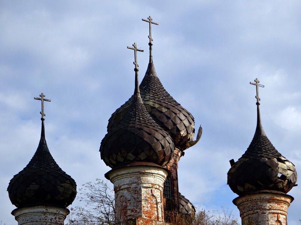 Буяково. Церковь Введения во храм Пресвятой Богородицы. архитектурные детали