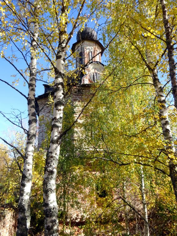 Церковь Спаса Нерукотворного Образа, Готовцево, урочище (Галичский район, Костромская область). архитектурные детали