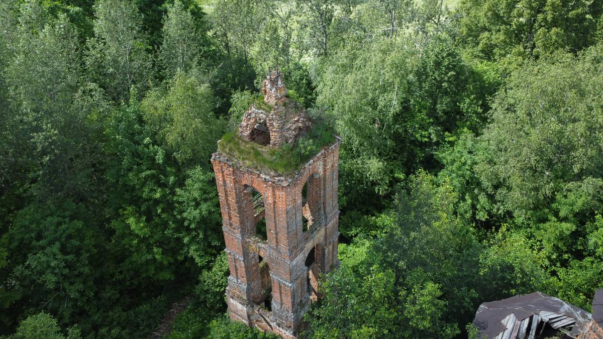 фасады. Церковь Богоявления Господня, Мышкино (Сусанинский район, Костромская область)