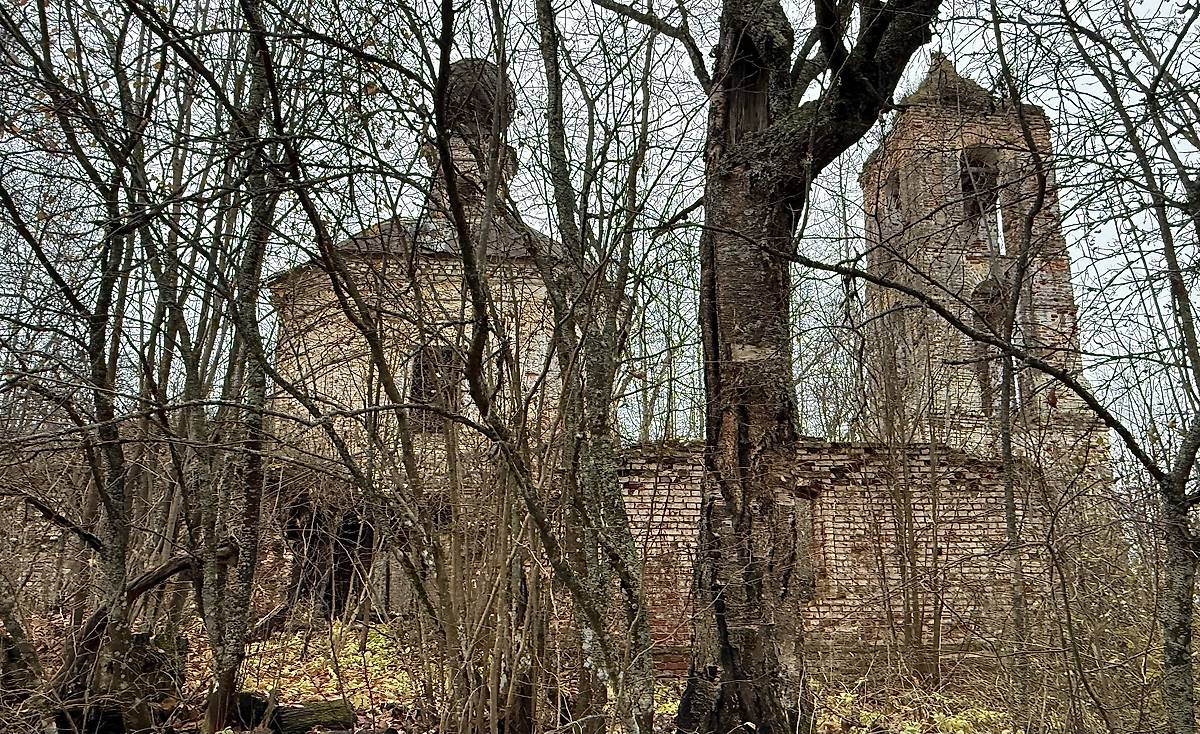 Вид с севера, фасады. Церковь Богоявления Господня, Мышкино (Сусанинский район, Костромская область)