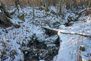 Часовня Параскевы Пятницы - Мартыново - Бологовский район - Тверская область