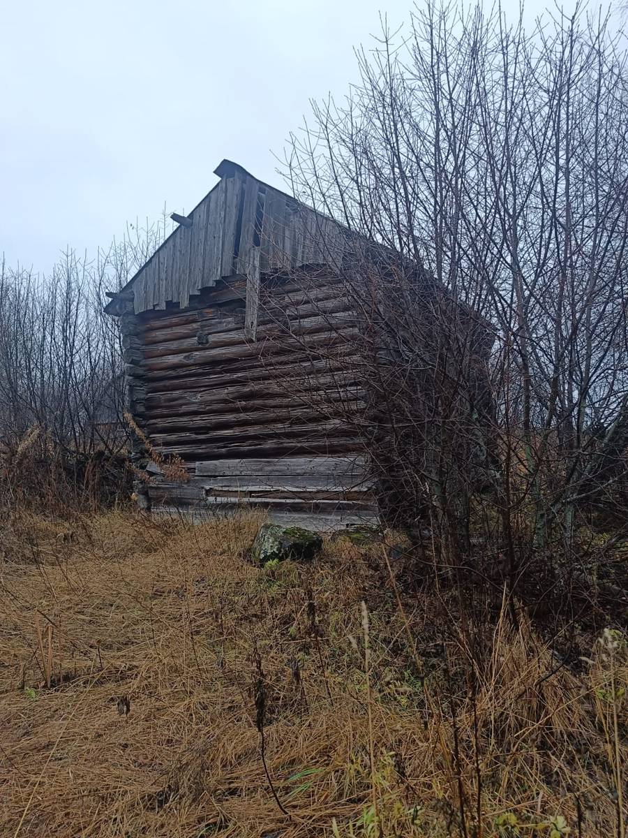 Часовня Екатерины, Хашезеро (Медвежьегорский район, Республика Карелия). общий вид в ландшафте