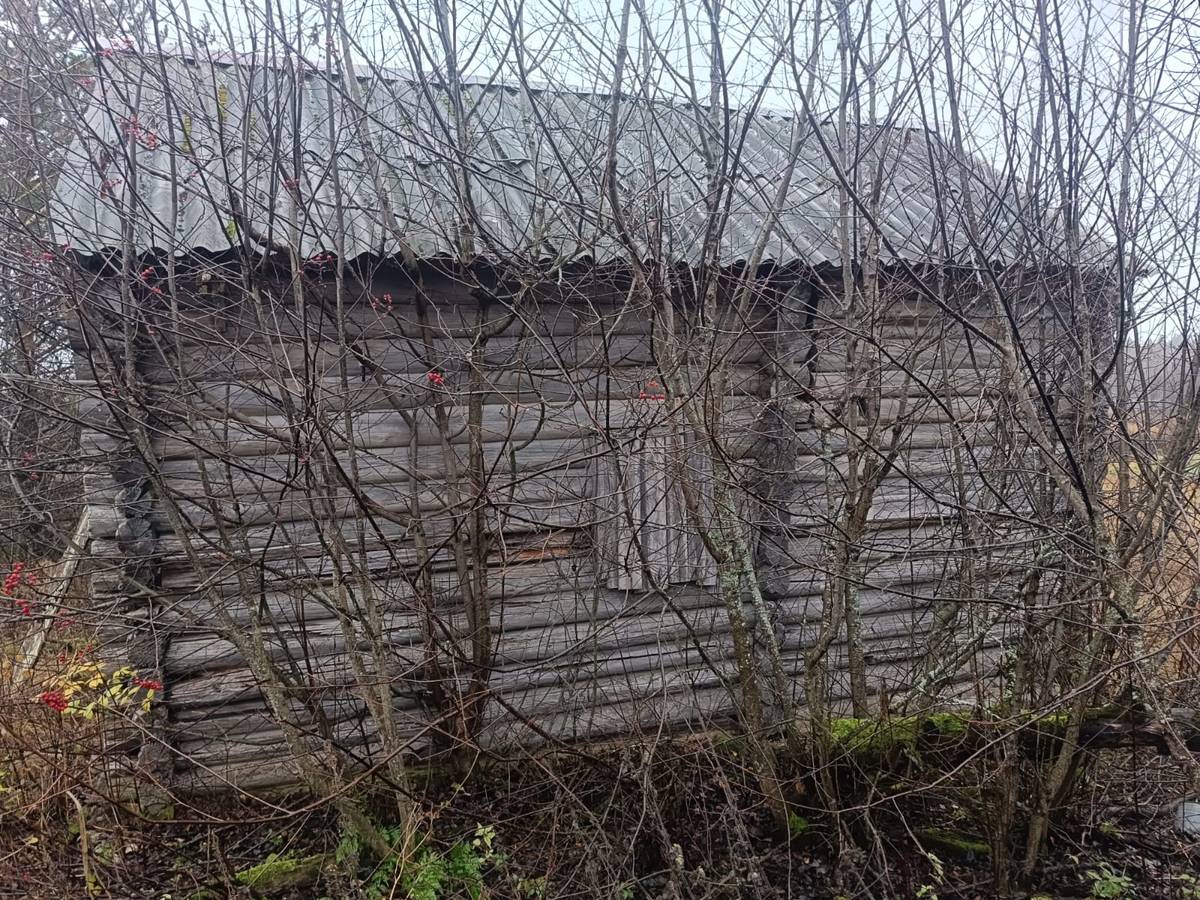 Часовня Екатерины, Хашезеро (Медвежьегорский район, Республика Карелия). фасады