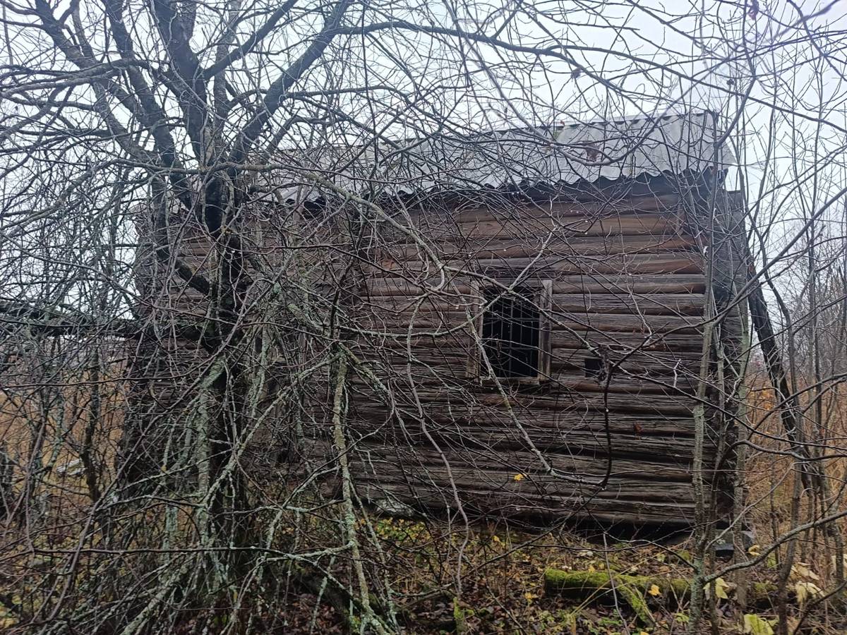 Часовня Екатерины, Хашезеро (Медвежьегорский район, Республика Карелия). фасады, Вход за деревом