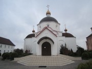 Приозерье. Елисаветинский женский монастырь. Церковь Александра Свирского
