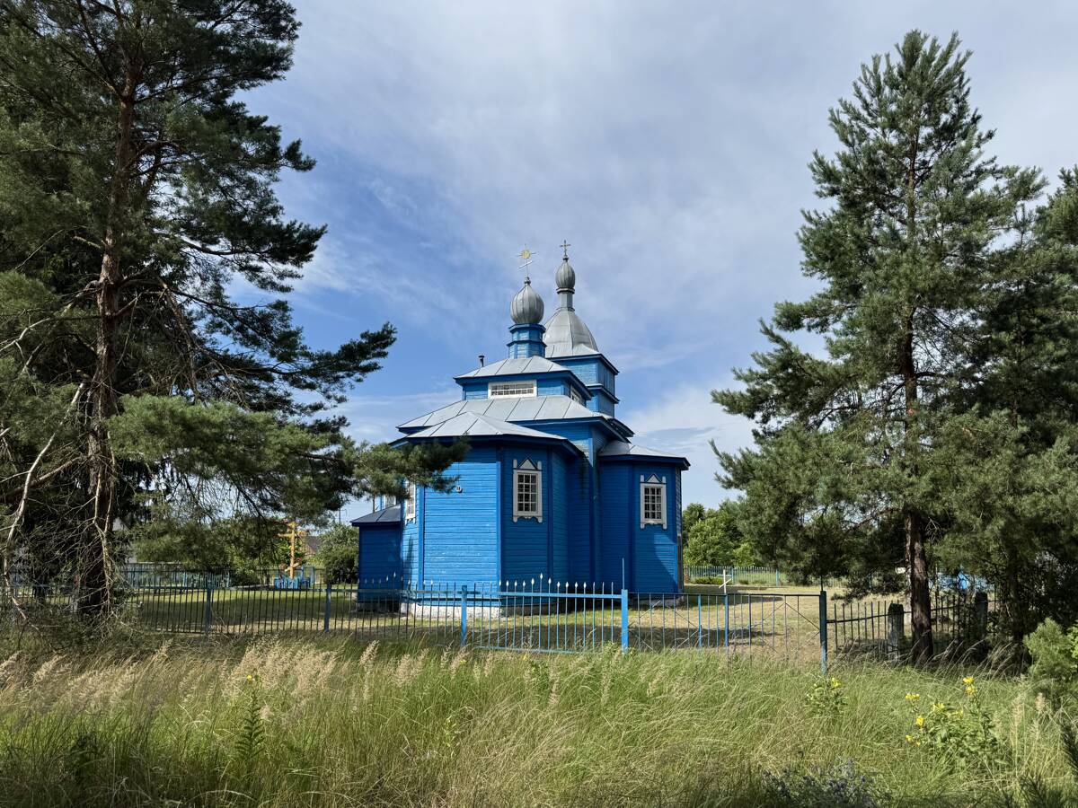 Церковь Илии Пророка, Вуйвичи (Пинский район, Беларусь, Брестская область). общий вид в ландшафте, Вид с северо-востока