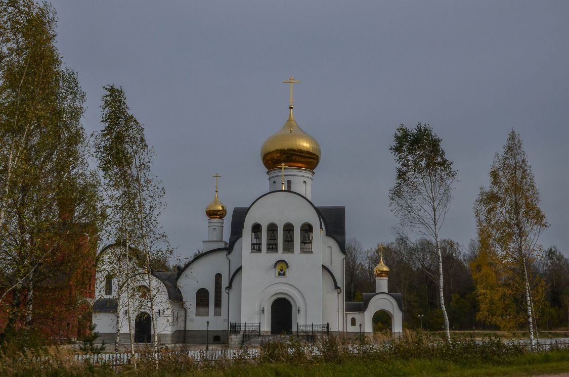 Всеволодкино. Спасо-Богородицкий Одигитриевский женский монастырь. Собор Покрова Пресвятой Богородицы. художественные фотографии