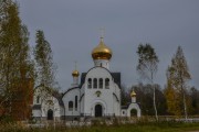 Спасо-Богородицкий Одигитриевский женский монастырь. Собор Покрова Пресвятой Богородицы, , Всеволодкино, Вяземский район, Смоленская область