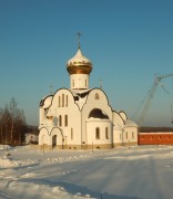 Всеволодкино. Спасо-Богородицкий Одигитриевский женский монастырь. Собор Покрова Пресвятой Богородицы