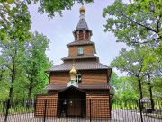 Саранск. Луки (Войно-Ясенецкого) при Республиканском психоневрологическом диспансере, церковь