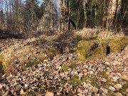 Заречье. Введения во храм Пресвятой Богородицы, церковь