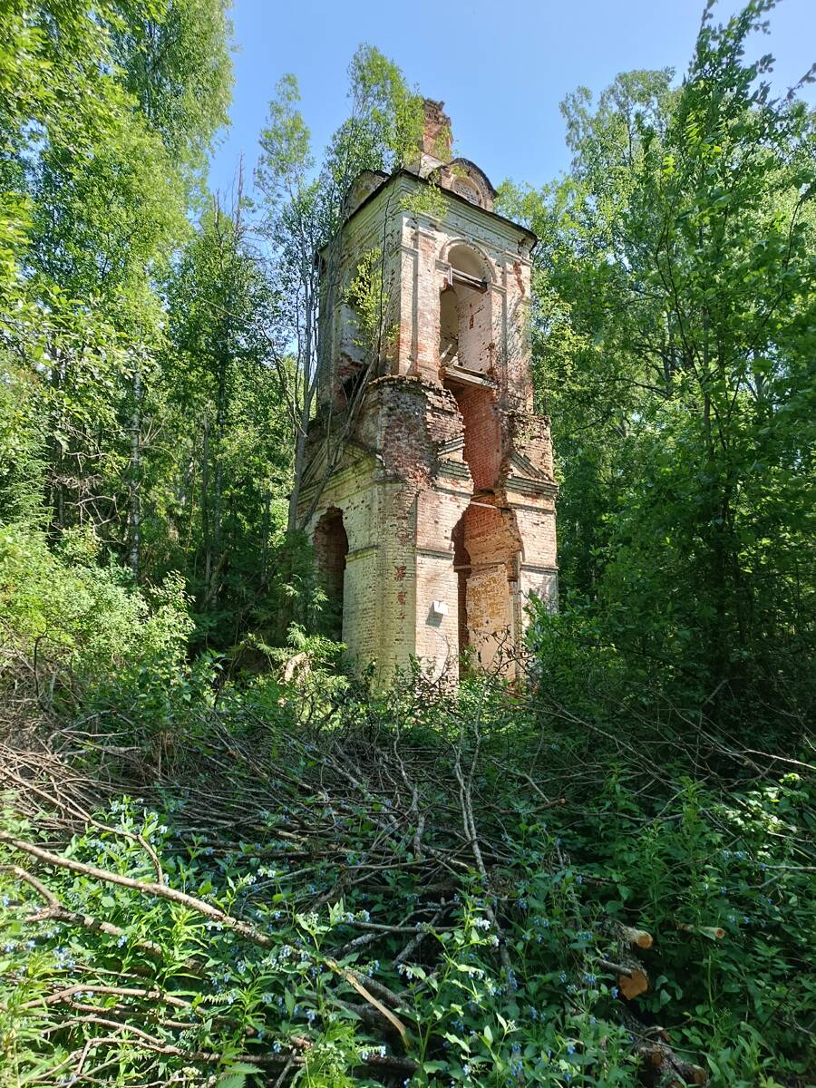 Церковь Вознесения Господня в Вознесенском-на-Высоке, Вознесенское, урочище (Чухломский район, Костромская область). фасады