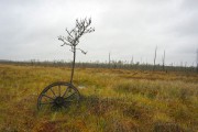 Рёконьская пустынь. Неизвестный скит, Дорога к скиту от монастыря<br>, Рёконьская пустынь, Любытинский район, Новгородская область