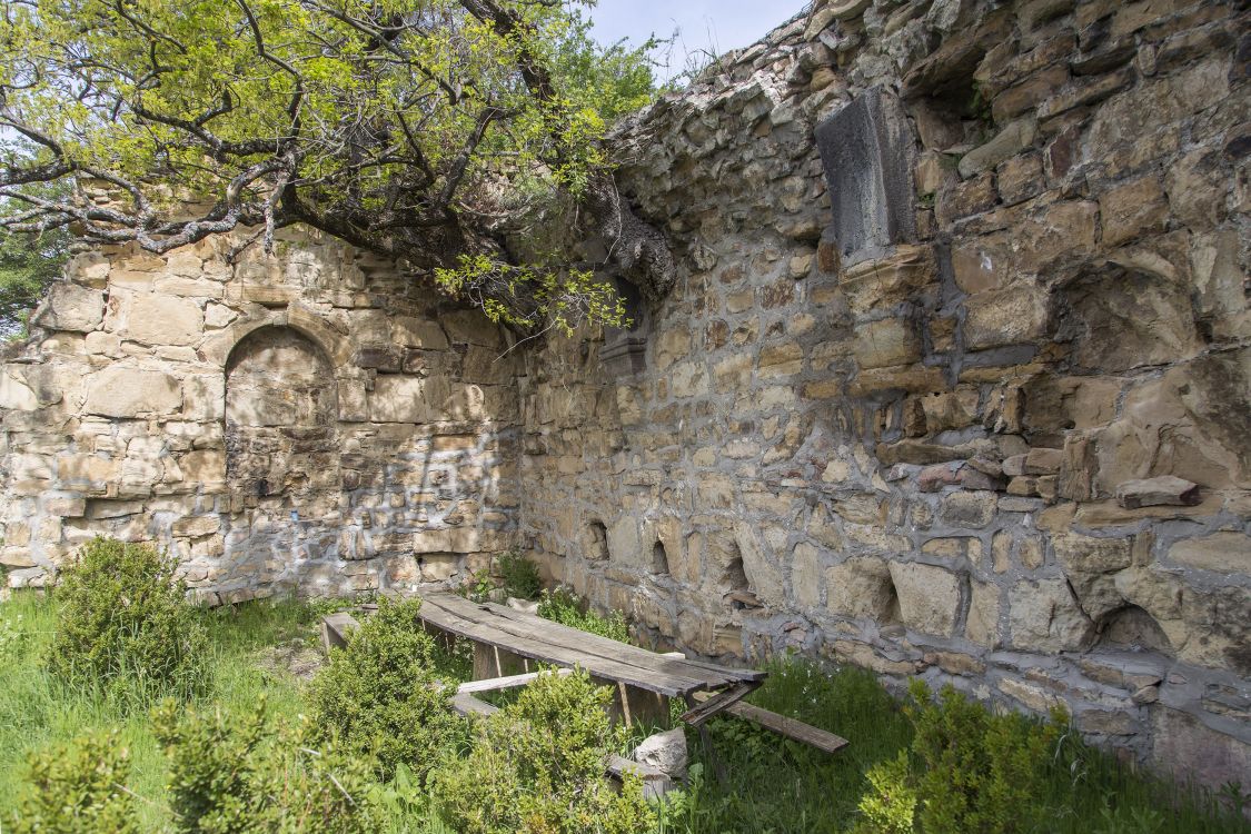 Нижний Монастер. Тирский Богородицко-Рождественский мужской монастырь. фасады, руины трапезной