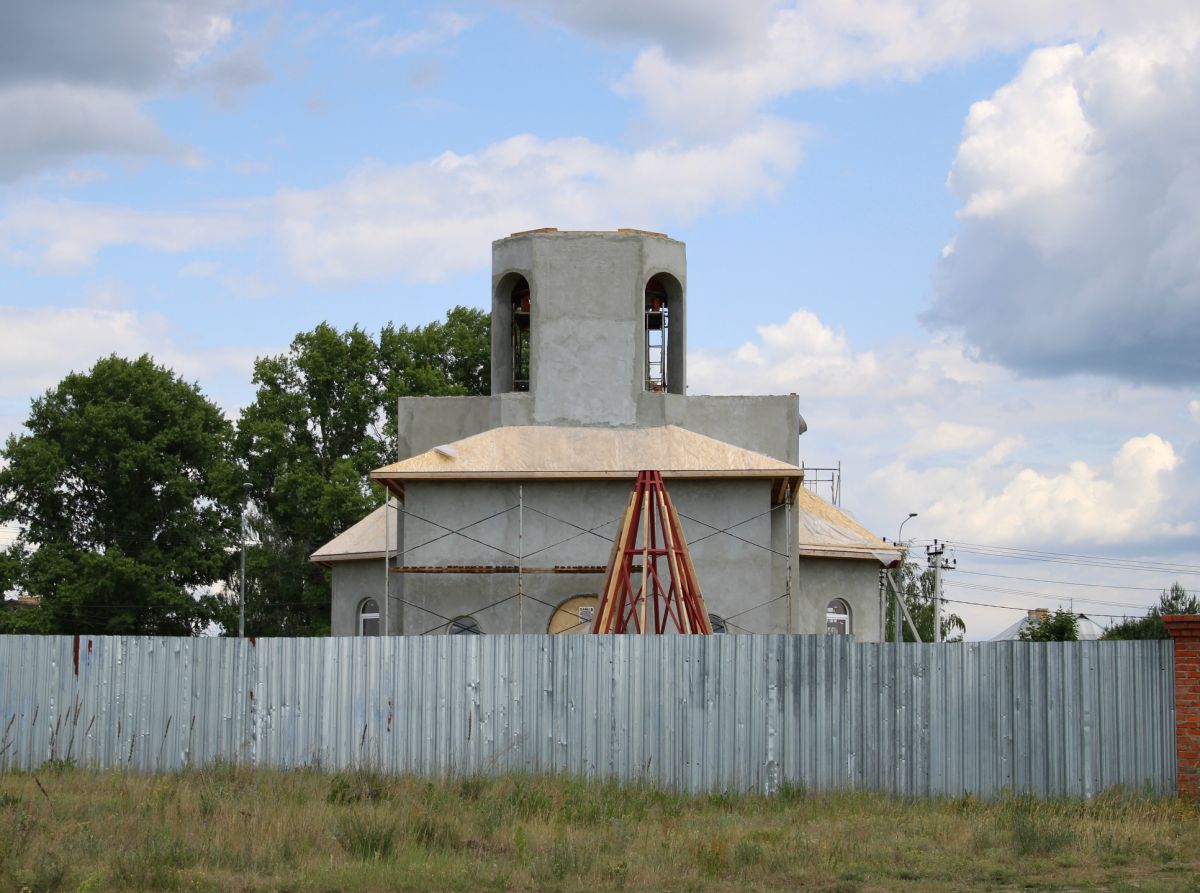 Церковь Иоанна Богослова (строящаяся), Маришкино (Воскресенский городской округ, Московская область). документальные фотографии