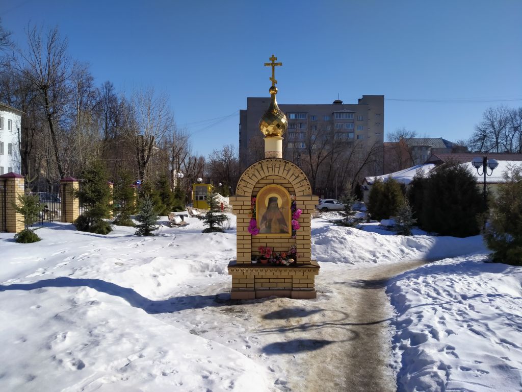 Владимир. Часовня Луки (Войно-Ясенецкого) и иконы Божией Матери 