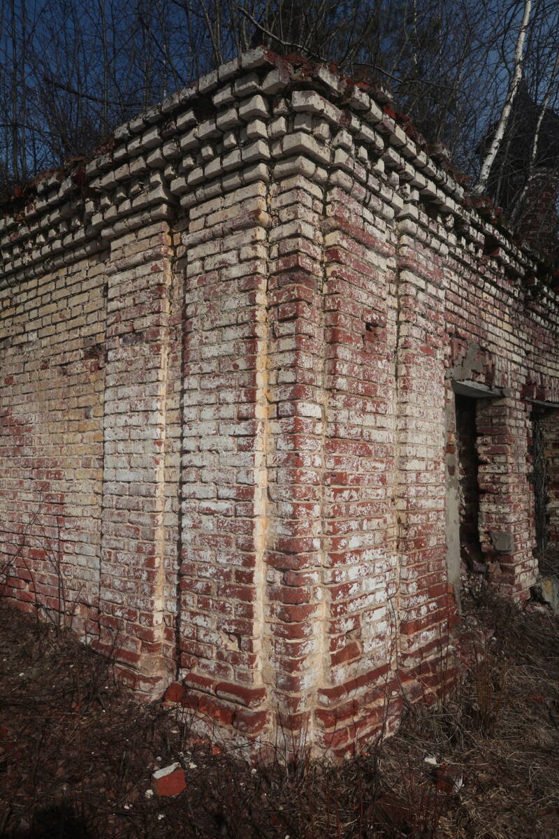 Церковь Михаила Архангела, Пронино (погост Архангельский) (Галичский район, Костромская область). архитектурные детали