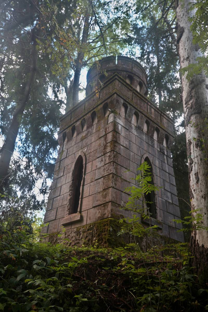 фасады. Неизвестная часовня, Малый Борок (Окуловский район, Новгородская область)