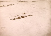 Часовня Владычный крест, Аэрофотосъёмка 1915 года<br>, Псков, Псков, город, Псковская область