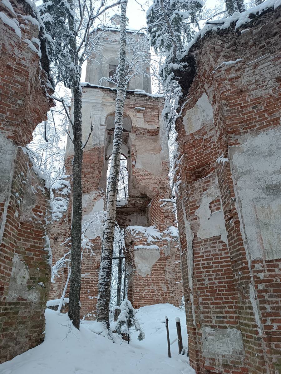 общий вид в ландшафте. Церковь Николая Чудотворца, Клусеево, урочище (Чухломский район, Костромская область)