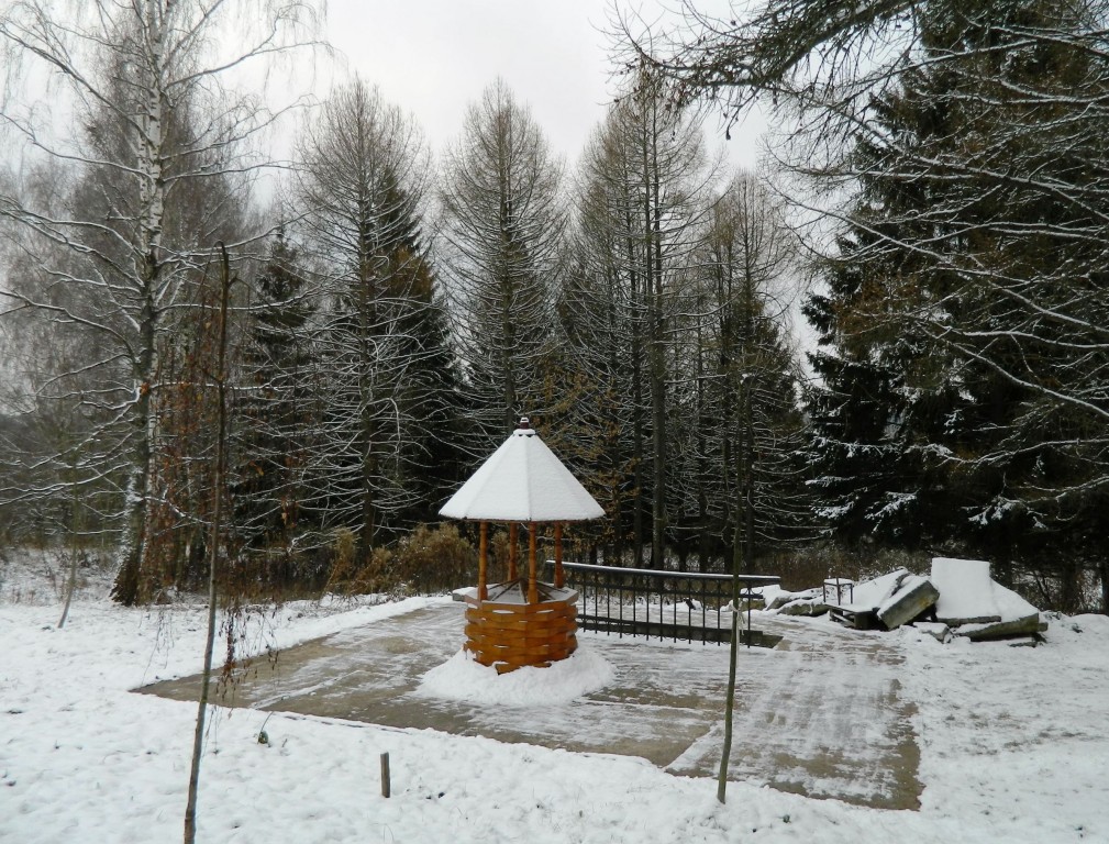 Часовня Рождества Пресвятой Богородицы, Льялово (Солнечногорский городской округ, Московская область). дополнительная информация, Надкладезная сень источника Пресвятой Богородицы