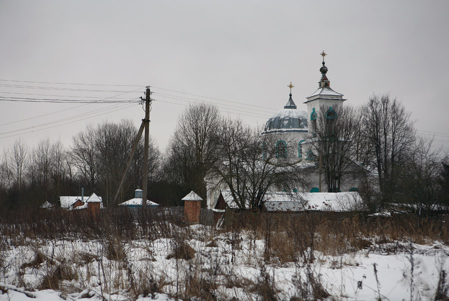 Церковь Троицы Живоначальной, Болчино (Дедовичский район, Псковская область). фасады