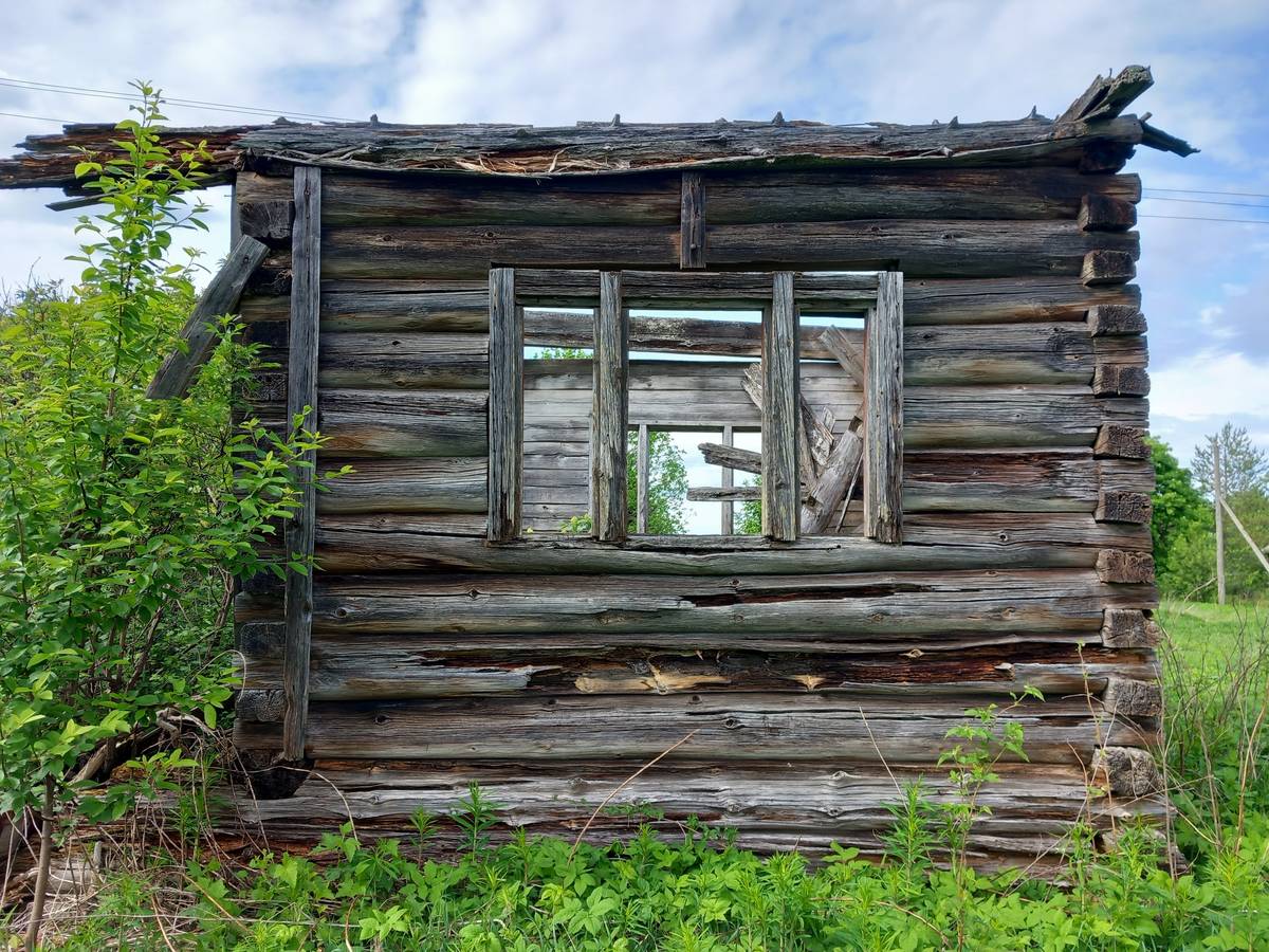Неизвестная часовня, Карповская (Вожегодский район, Вологодская область). общий вид в ландшафте, Вид с юга