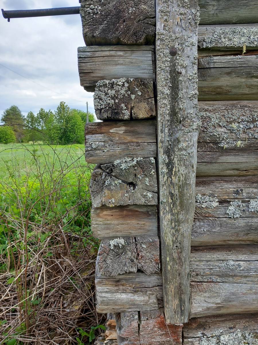 Неизвестная часовня, Карповская (Вожегодский район, Вологодская область). документальные фотографии, Угол
