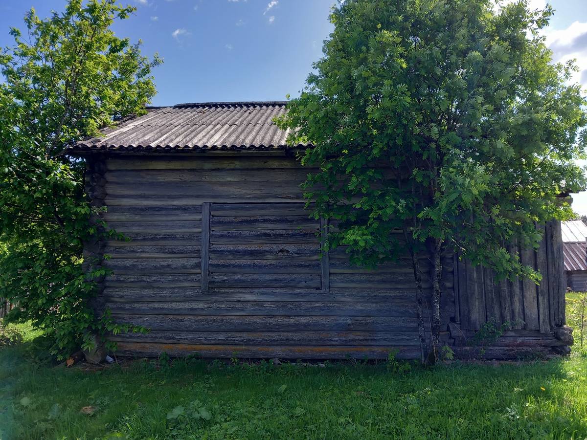 Неизвестная часовня, Олюшинская (Вожегодский район, Вологодская область). общий вид в ландшафте, Вид с севера