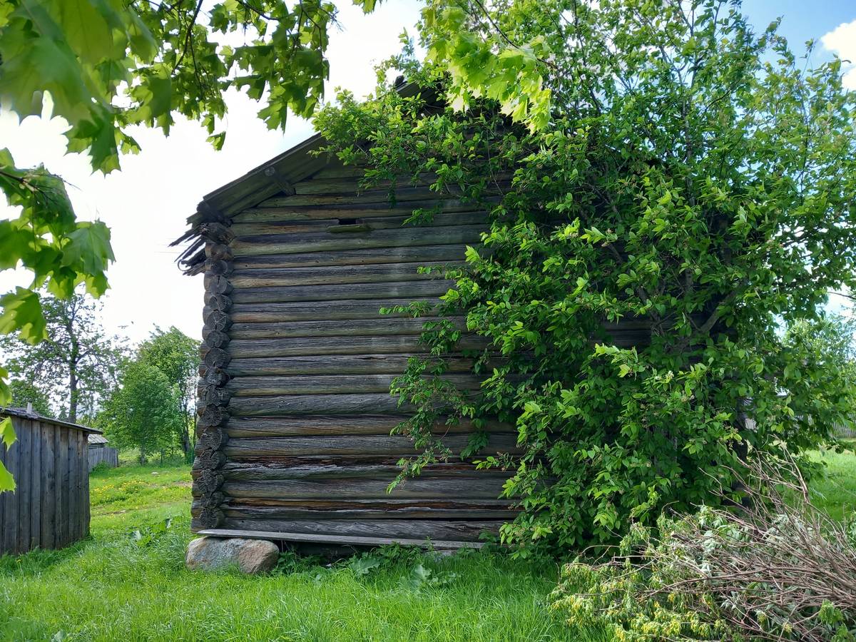 Неизвестная часовня, Олюшинская (Вожегодский район, Вологодская область). общий вид в ландшафте, Вид с востока