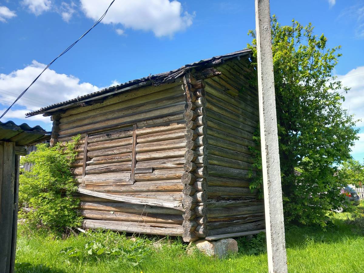 Неизвестная часовня, Олюшинская (Вожегодский район, Вологодская область). общий вид в ландшафте