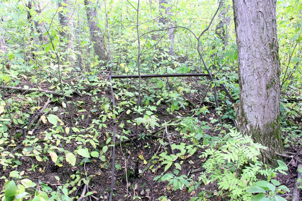 Церковь Покрова Пресвятой Богородицы, Медведок (Борисоглеб), урочище (Некрасовский район, Ярославская область). дополнительная информация, Металлический каркас дверного или оконного проема