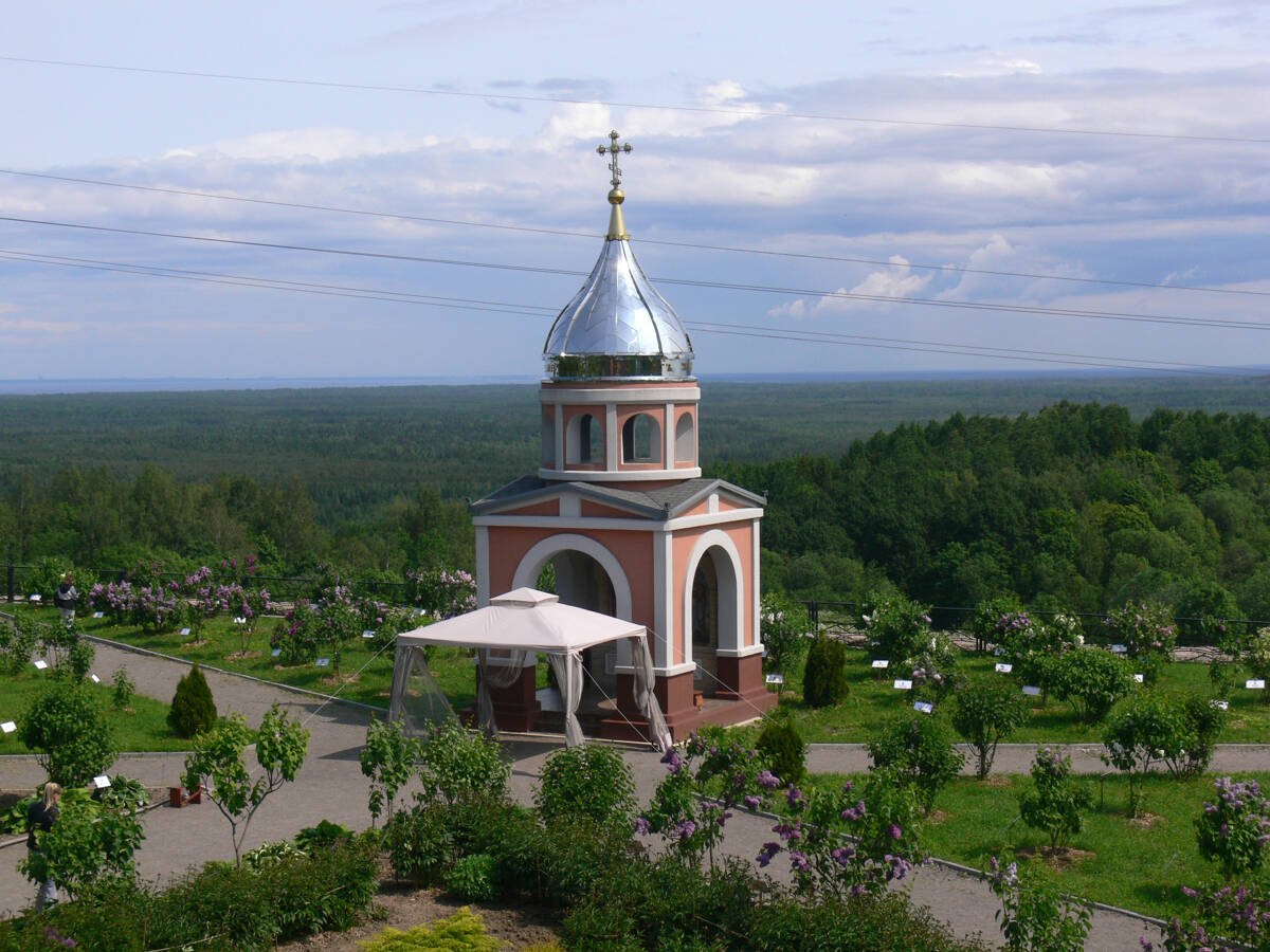 Никольский скит. Часовня Воскресения Христова, Сойкино, урочище (Кингисеппский район, Ленинградская область). общий вид в ландшафте, вид с юго-запада