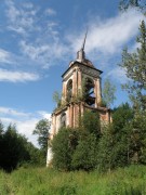 Церковь Рождества Пресвятой Богородицы, , Николо-Ширь, Парфеньевский район, Костромская область