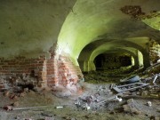 Церковь Рождества Пресвятой Богородицы, , Николо-Ширь, Парфеньевский район, Костромская область