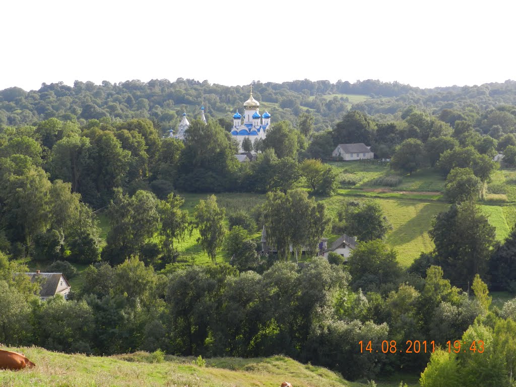 Церковь Покрова Пресвятой Богородицы, Залесцы (Кременецкий район, Украина, Тернопольская область). архивная фотография, Фото 14.08.2011 с сайта Тернопольской епархии Украинской православной церкви https://ternopil.church.ua/2016/12/14/na-svyato-svyatogo-apostola-andriya-pervozvannogo-v-seli-zilisci-zbarazhskogo-rajonu-vidsluzheno-zaupokijnu-litiyu-po-zagiblomu-v-ato-vojinu-andriyu-foto-video/ (автор статьи на сайте - hramsofiya2) Прим. мод. - фото принято условно до замены на авторское
