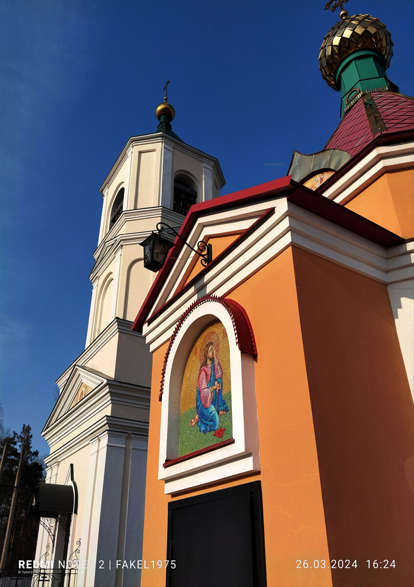 Часовня Мучеников младенцев Вифлеемских в Дачном, Липецк (Липецк, город, Липецкая область). архитектурные детали